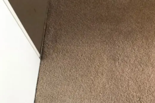 Carpet Cleaning in Hawthorn