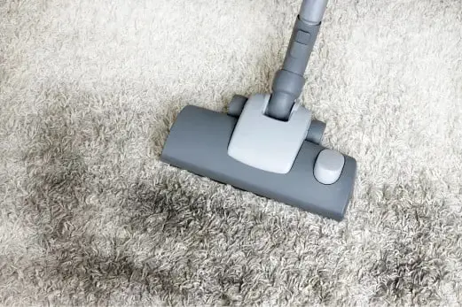 Carpet Cleaning in Hawthorn